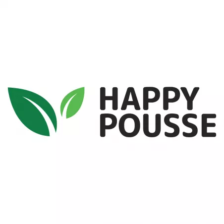 Sweet-Paradis-Happy-Pousse-cultivée-en-indoor