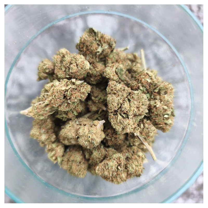 Legendary Skunk