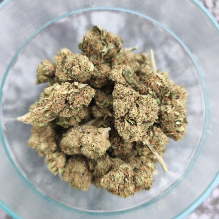 Legendary Skunk