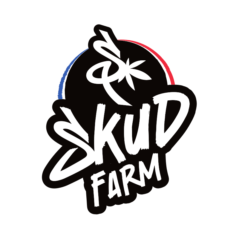 Rainbow Sherbet - cultivée en indoor- Skudfarm