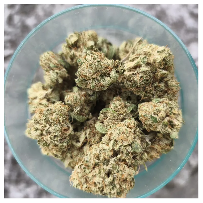 Sweet-Paradis-Happy-Pousse-cultivée-en-indoor