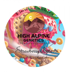 Strawberry Poptarts - High Alpine Genetics