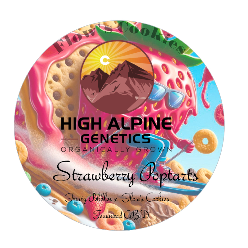 Strawberry Poptarts - High Alpine Genetics - Les jardins de bouddha