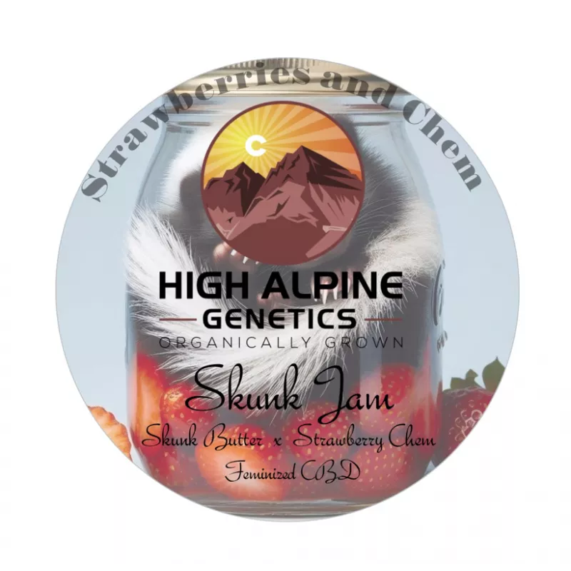 Skunk Jam - High Alpine Genetics - Les jardins de bouddha
