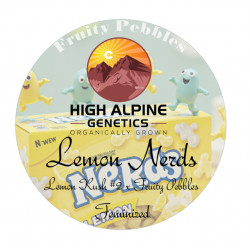 Lemon Nerds - High Alpine Genetics