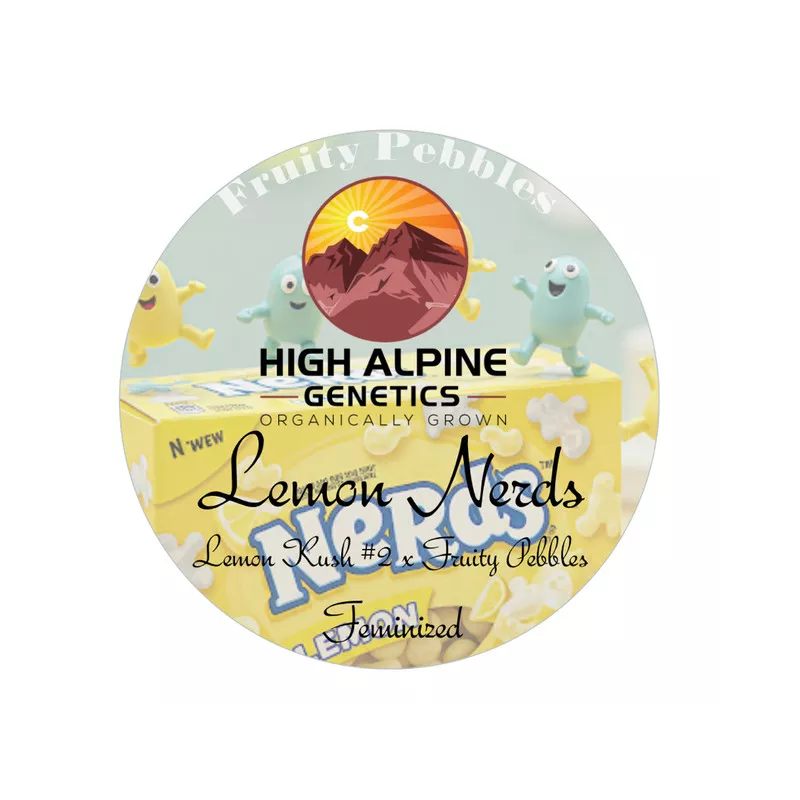 Lemon Nerds - High Alpine Genetics - Les jardins de bouddha