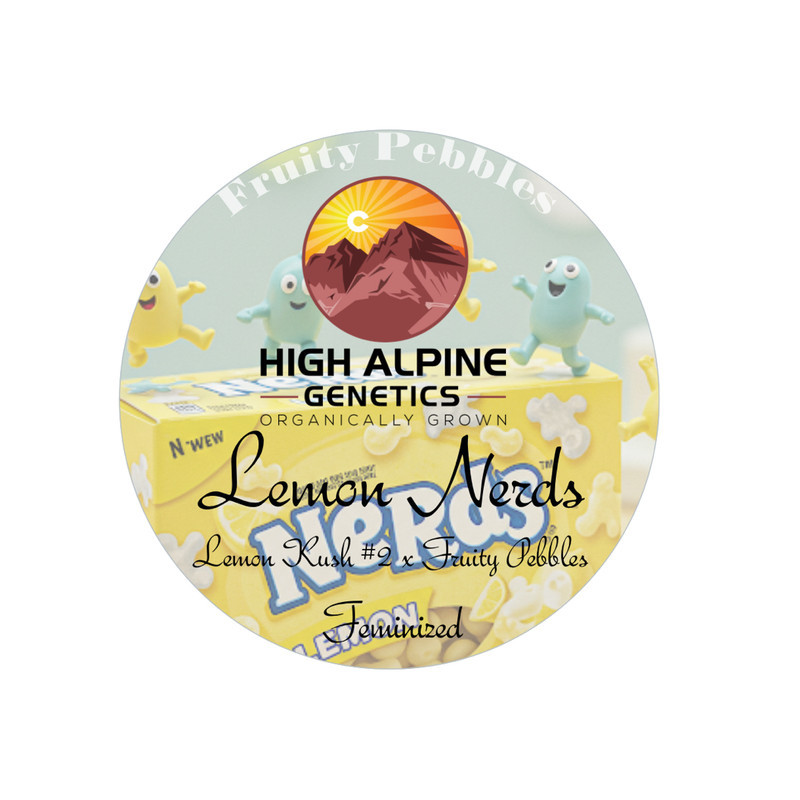 Lemon Nerds - High Alpine Genetics