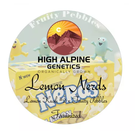 Lemon Nerds - High Alpine Genetics - Les jardins de bouddha