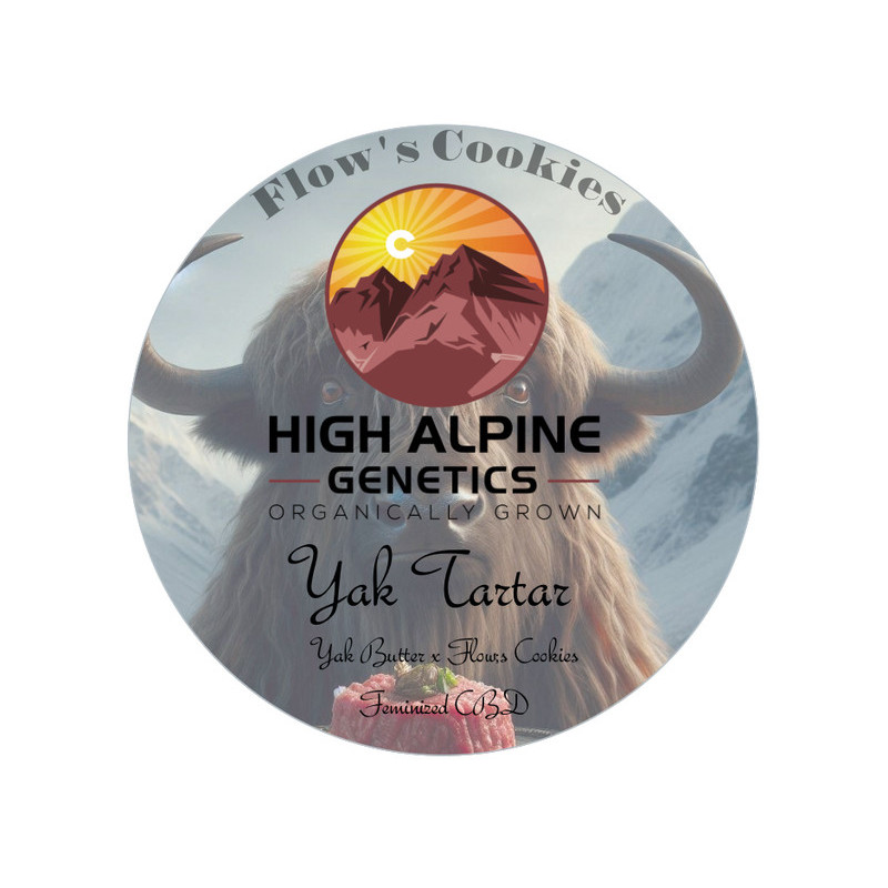Yak Tartar - High Alpine Genetics