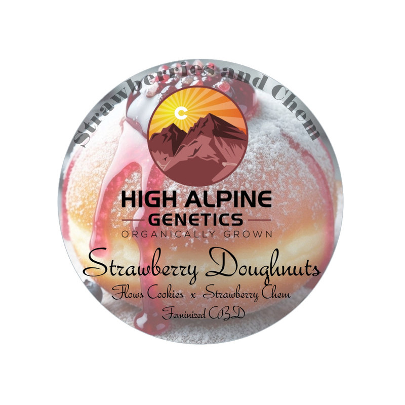 Strawberry Doughnuts - High Alpine Genetics - Les jardins de bouddha
