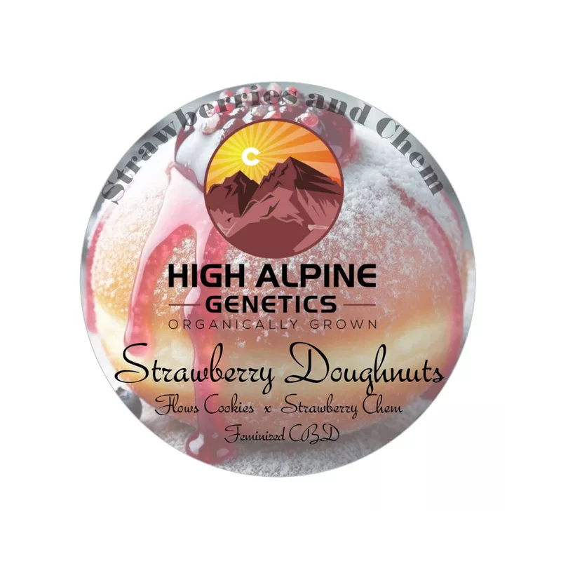 Strawberry Doughnuts - High Alpine Genetics - Les jardins de bouddha