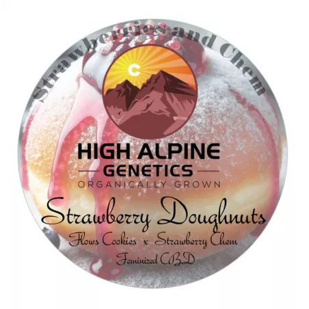 Strawberry Doughnuts - High Alpine Genetics - Les jardins de bouddha