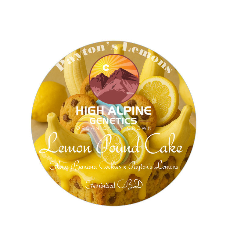 Lemon Pound Cake - High Alpine Genetics - Les jardins de bouddha