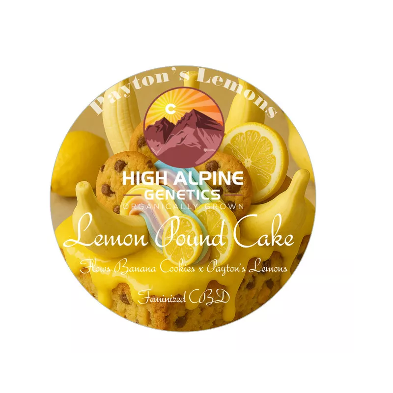 Lemon Pound Cake - High Alpine Genetics - Les jardins de bouddha