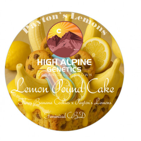 Lemon Pound Cake - High Alpine Genetics - Les jardins de bouddha
