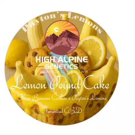 Lemon Pound Cake - High Alpine Genetics - Les jardins de bouddha