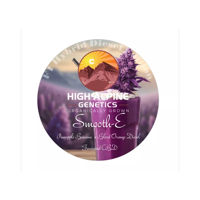 Smooth-E - High Alpine Genetics - Les jardins de bouddha