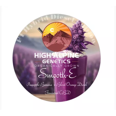 Smooth-E - High Alpine Genetics - Les jardins de bouddha