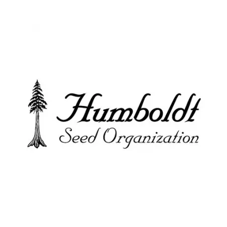 Blueberry Headband - humboldt - Les jardins de bouddha