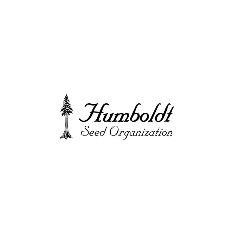 Chocolate mint og 2.0 - humboldt - Les jardins de bouddha