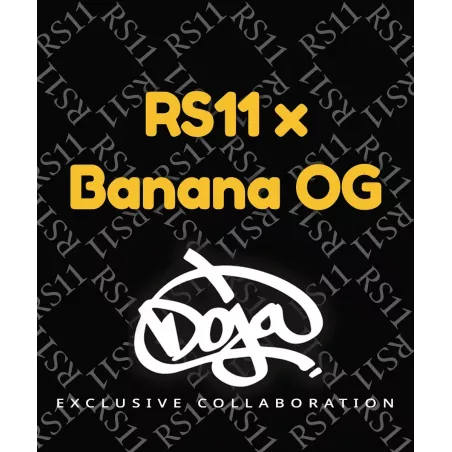 RS11 x Banana OG - Barney's Farm x Doja - Les jardins de bouddha
