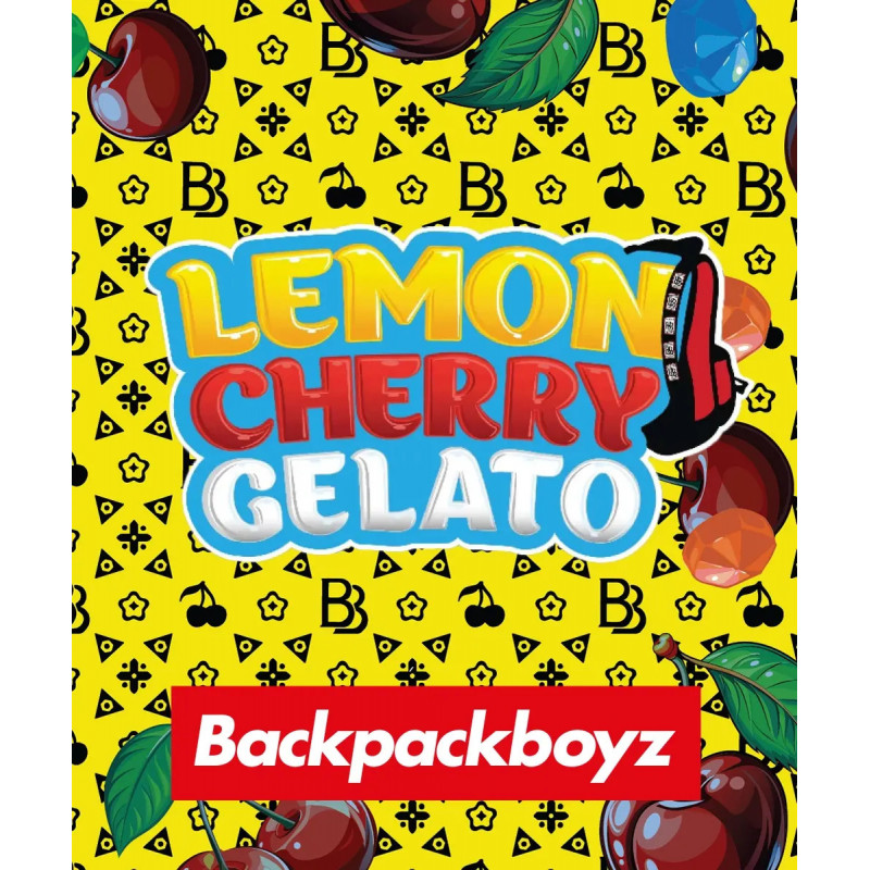 RS11 x Banana OG | Barney’s Farm × Doja | Variété Premium