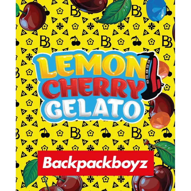 RS11 x Banana OG | Barney’s Farm × Doja | Variété Premium