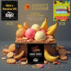 pack découverte barneys farm x Doja exclusive - les jardins de bouddha