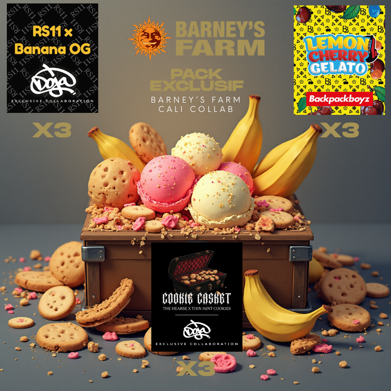 Premium Discovery Pack – Barneys Farm Exclusive