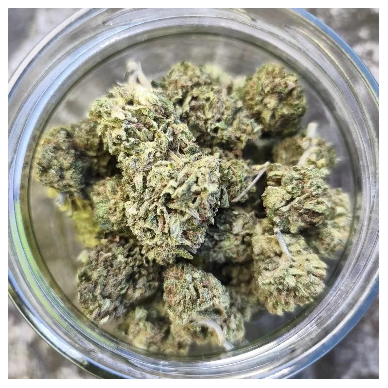 Bomb Cyclone outdoor - La tête à l'ouest