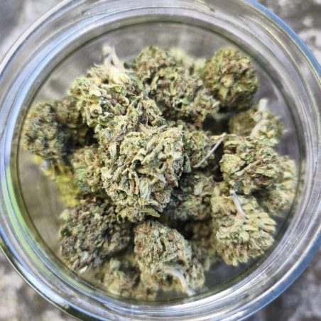 Bomb Cyclone - La tête à l'ouest