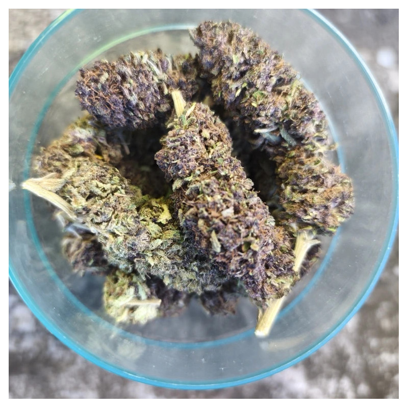 Strawberry Doughnuts - La tête à l'ouest