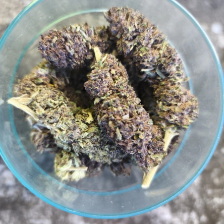 Strawberry Doughnuts outdoor - La tête à l'ouest