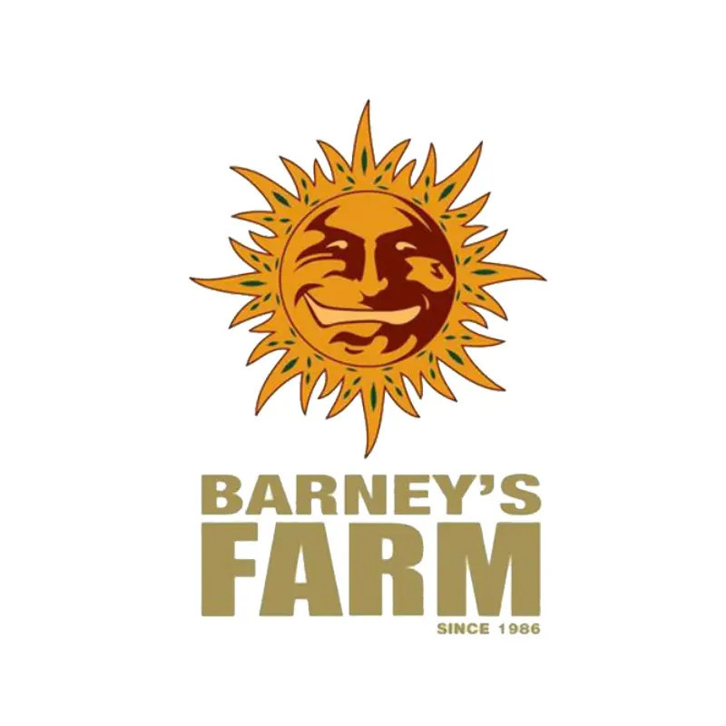 Tangerine Dream Auto - Barney's Farm - Les jardins de bouddha