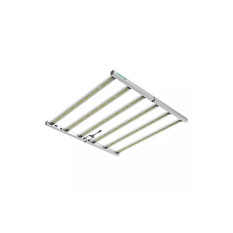 led_lazerlite_pro_720w_les_jardins_de_bouddha