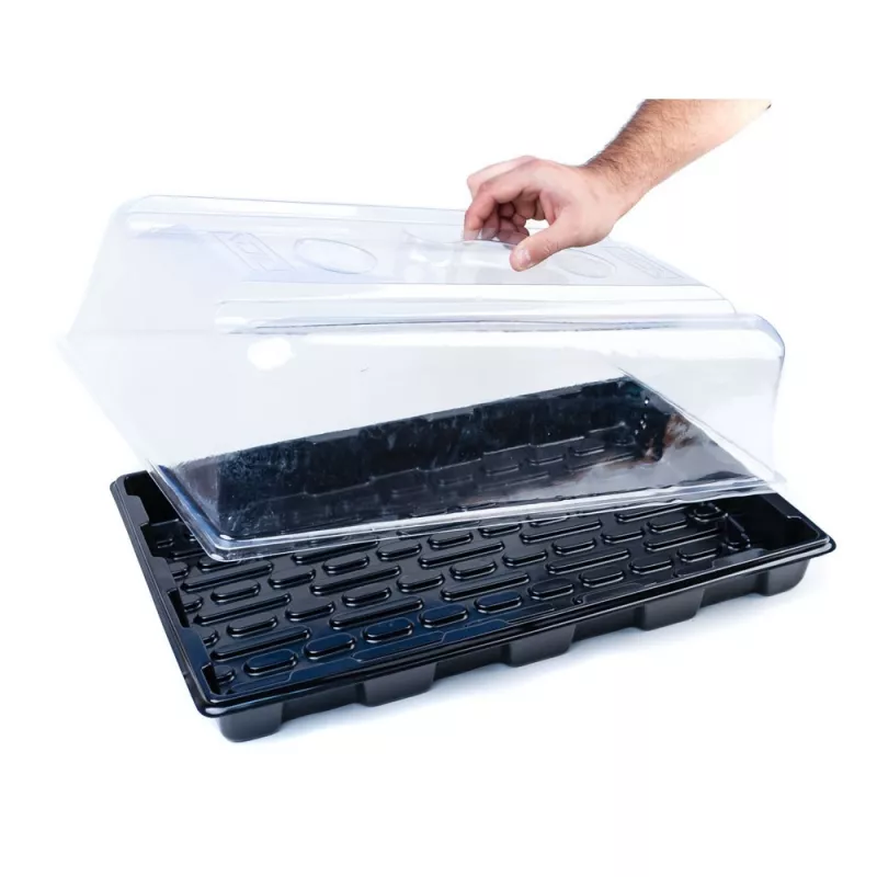 Serre de germination et de bouturage 59×39×24 cm - les jardins de bouddha