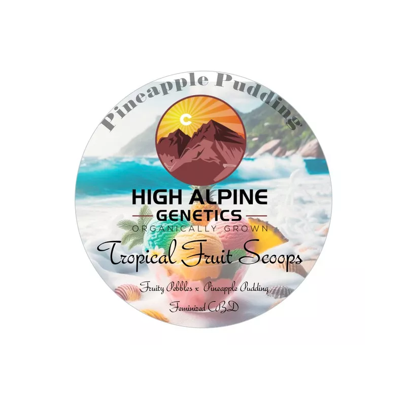 Tropical Fruit Scoops - High Alpine Genetics - Les jardins de Bouddha