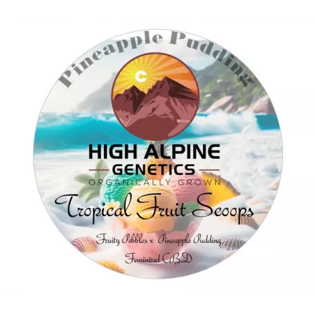 Tropical Fruit Scoops - High Alpine Genetics - Les jardins de Bouddha