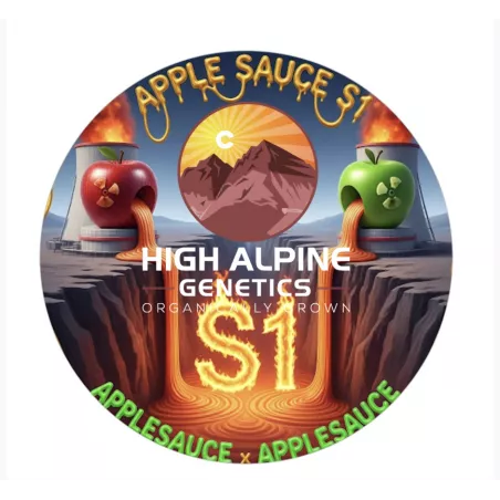 Apple Sauce S1 - High Alpine Genetics - Les jardins de Bouddha