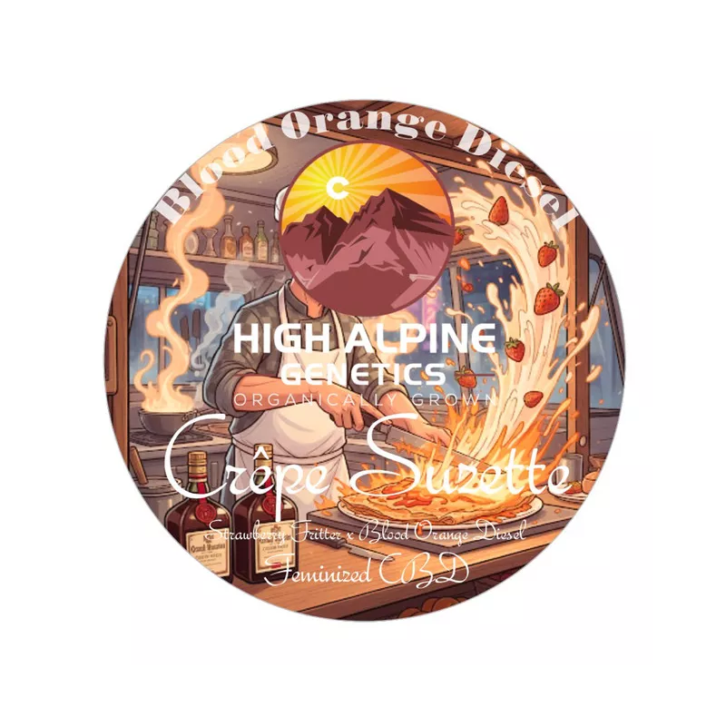 Crêpe Suzette - High Alpine Genetics - Les jardins de Bouddha