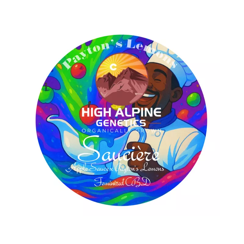 Saucière - High Alpine Genetics - Les jardins de Bouddha