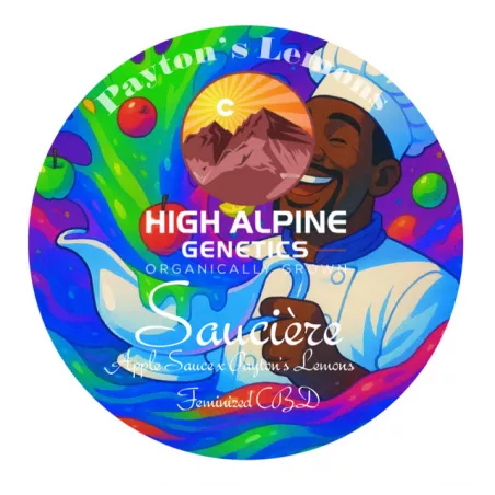 Saucière - High Alpine Genetics - Les jardins de Bouddha
