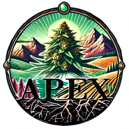 Demi Glaze CBD – Flower Outdoor Harvest 2025 – Apex