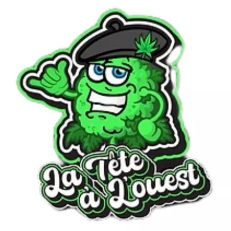 Rainbow Sherbet CBD –  Flower Outdoor Harvest 2025 – La Tête à l’Ouest