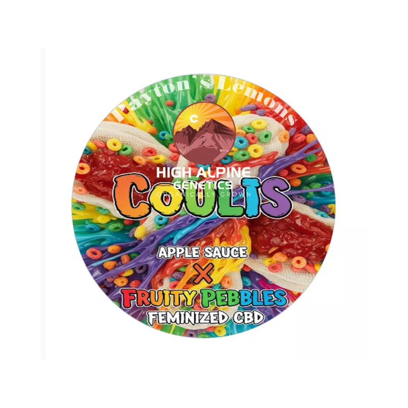 Coulis - High Alpine Genetics - Les jardins de Bouddha