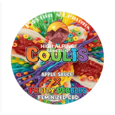 Coulis - High Alpine Genetics - Les jardins de Bouddha