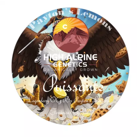 Puissante - High Alpine Genetics - Les jardins de Bouddha