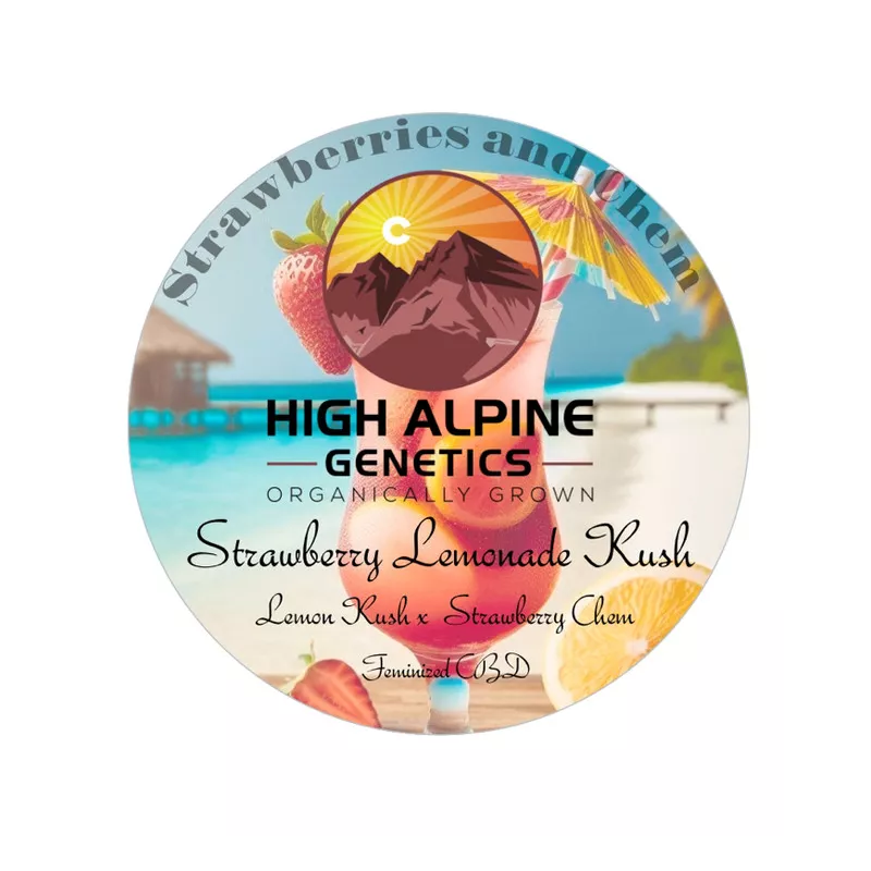 Strawberry Lemonade Kush - High Alpine Genetics - Les jardins de Bouddha