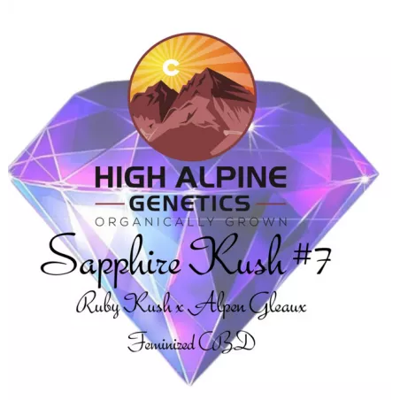 Sapphire Kush #7 - High Alpine Genetics - Les jardins de Bouddha