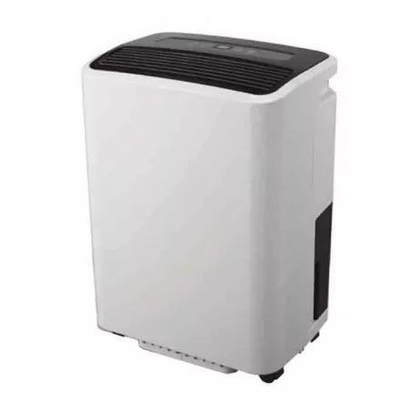 VDL deshumidificateur 12l/j - jardins de bouddha
